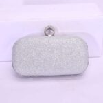 Square Shaped Evening Bag