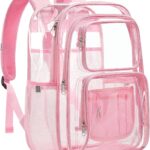 Double Layer Clear Backpack